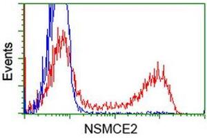 HEK293T cells transfected with either RC207639 overexpress plasmid (Red) or empty vector control plasmid (Blue) were immunostained by anti-NSMCE2 antibody (ABIN2453382), and then analyzed by flow cytometry. (NSMCE2 Antikörper)