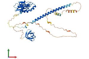 Protein Structure (PS) image for Drebrin-Like (DBNL) (AA 1-436) protein (His tag) (ABIN7563967)