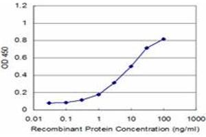 ELISA image for anti-WAS Protein Family, Member 2 (WASF2) (AA 73-173) antibody (ABIN961295) (WASF2 Antikörper  (AA 73-173))