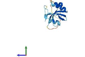 Protein Structure (PS) image for Peptidyl Prolyl Cis/Trans Isomerase NIMA Interacting 4 Protein (PIN4) (AA 1-131) protein (His tag) (ABIN7560691)