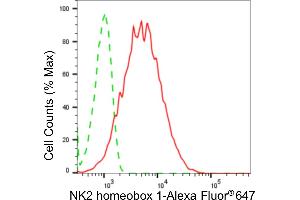 Flow cytometric analysis of NK2 homeobox 1 expression in HepG2 cells using NK2 homeobox 1 antibody (ABIN7799609), 1:2,000). (Rekombinanter NKX2-1 Antikörper)