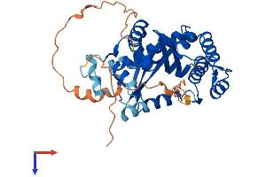 EXO5 Protein (AA 1-373) (His tag)