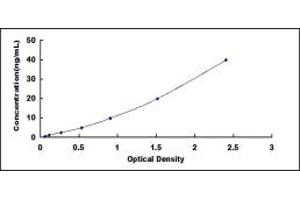 GSTa5 ELISA Kit