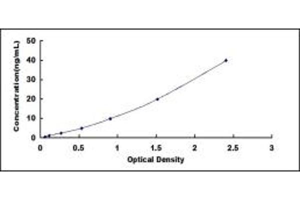 GSTa5 ELISA Kit