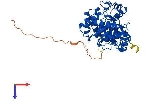 KCNAB2 Protein (AA 1-367) (His tag)