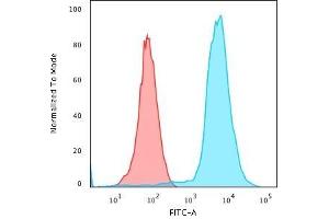 Flow Cytometric Analysis of PFA-fixed Jurkat cells using CD45 Monoclonal Antibody (135-4C5) followed by Goat anti- Mouse- IgG-CF488 (Blue); Isotype Control (Red). (CD45 Antikörper)