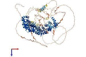 SAPS2 Protein (AA 1-966) (His tag)