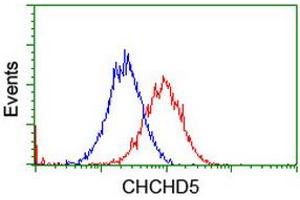 Image no. 9 for anti-Coiled-Coil-Helix-Coiled-Coil-Helix Domain Containing 5 (CHCHD5) (AA 1-110) antibody (ABIN1490561) (CHCHD5 Antikörper  (AA 1-110))