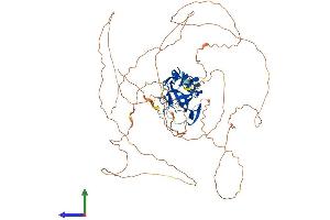 Protein Structure (PS) image for T-Box Brain Gene 1 (TBR1) (AA 1-682) protein (His tag) (ABIN7544386)