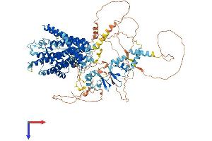 CLCN1 Protein (AA 1-994) (His tag)