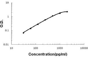 Sandwich ELISA - Recombinant mouse IL17F protein standard curve.
