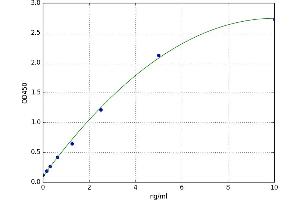 A typical standard curve