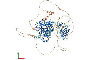 Protein Structure (PS) image for Lysine (K)-Specific Demethylase 4C (KDM4C) (AA 1-1056) protein (His tag) (ABIN7554271)