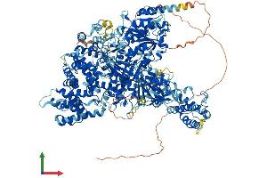 AlphaFold protein structure predicition of Human Recombinant AQR Protein, UniprotID O60306