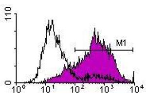 Image no. 1 for anti-Interleukin 2 Receptor, alpha (IL2RA) antibody (FITC) (ABIN135171) (CD25 Antikörper  (FITC))