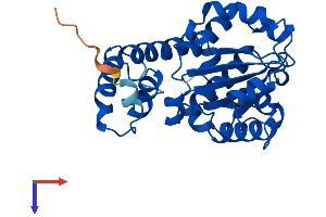 TTPA Protein (AA 1-278) (His tag)