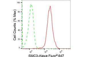 Flow cytometric analysis of SMC3 expression in HepG2 cells using SMC3 antibody (ABIN7800448), 1:2,000). (Rekombinanter SMC3 Antikörper)