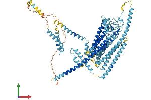 Protein Structure (PS) image for Transmembrane Channel-Like 1 (TMC1) (AA 1-760) protein (His tag) (ABIN7555791)