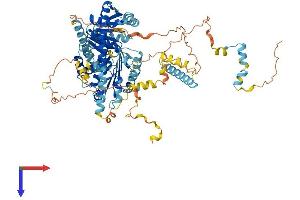 DDX27 Protein (AA 1-760) (His tag)