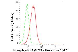 Flow cytometric analysis of phospho-IRE1 (S724) expression in HT- cells using phospho-IRE1 (S724) antibody (ABIN7798443), 1:2,000). (Rekombinanter ERN1 Antikörper  (pSer724))