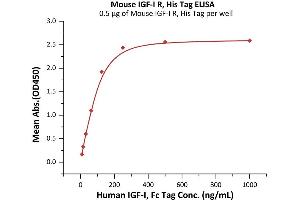 Immobilized Mouse IGF-I R, His Tag (ABIN6253206,ABIN6253548) at 5 μg/mL (100 μL/well) can bind Human IGF-I, Fc Tag (ABIN2181263,ABIN2181262) with a linear range of 0.