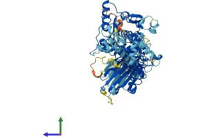 Protein Structure (PS) image for Calpain 11 (CAPN11) (AA 1-714) protein (His tag) (ABIN7557938)