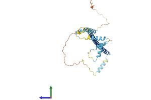 AlphaFold protein structure predicition of Human Recombinant CLTA Protein, UniprotID P09496
