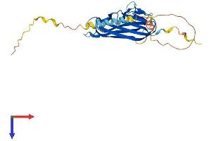 Protein Structure (PS) image for Tumor Necrosis Factor (Ligand) Superfamily, Member 9 (TNFSF9) (AA 1-254) protein (His tag) (ABIN7544427)