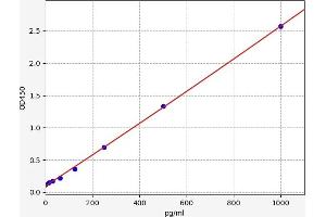 Transforming Growth Factor, beta 2 (TGFB2) ELISA Kit
