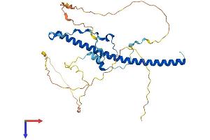 DBP Protein (AA 1-325) (His tag)