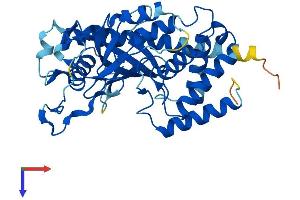 Mab-21-Like 3 (MAB21L3) (AA 1-362) protein (His tag)