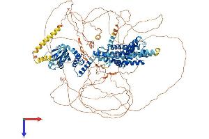 HCN4 Protein (AA 1-1186) (His tag)
