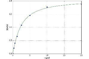 A typical standard curve (GPER ELISA Kit)