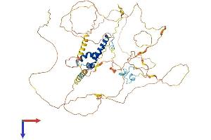 TCF7L2 Protein (AA 1-619) (His tag)