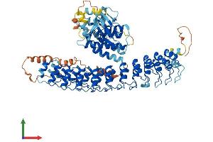 AlphaFold protein structure predicition of Human Recombinant ANKK1 Protein, UniprotID Q8NFD2