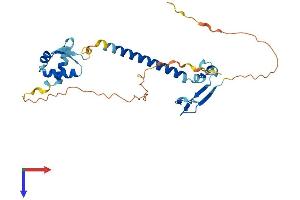 E2F6 Protein (AA 1-272) (His tag)