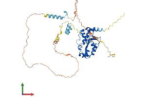 Protein Structure (PS) image for REX4, RNA Exonuclease 4 Homolog (REXO4) (AA 1-432) protein (His tag) (ABIN7558029)
