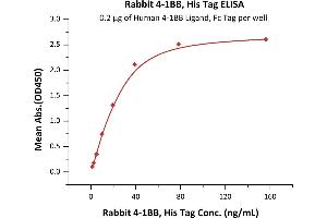 Immobilized Human 4-1BB Ligand, Fc Tag (ABIN2870602,ABIN2870603) at 2 μg/mL (100 μL/well) can bind Rabbit 4-1BB, His Tag (ABIN6731240,ABIN6809852) with a linear range of 1-39 ng/mL (QC tested).