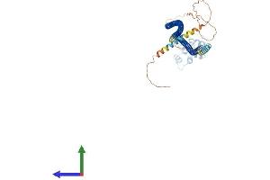 Protein Structure (PS) image for Caspase Recruitment Domain Family, Member 9 (CARD9) (AA 1-536) protein (His tag) (ABIN7552868)