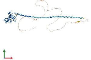 Protein Structure (PS) image for A Kinase (PRKA) Anchor Protein 17A (AKAP17A) (AA 1-695) protein (His tag) (ABIN7552041)