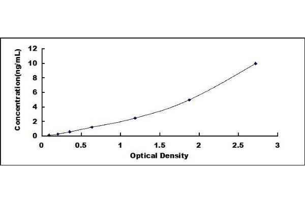 TIMP3 ELISA Kit