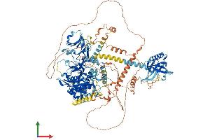 Protein Structure (PS) image for Inositol Polyphosphate-5-Phosphatase F (INPP5F) (AA 1-1132) protein (His tag) (ABIN7564539)