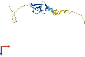 LIMD2 Protein (AA 1-128) (His tag)