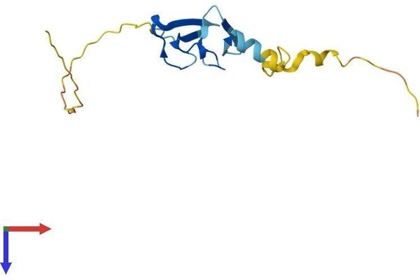 LIMD2 Protein (AA 1-128) (His tag)