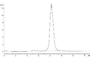 Size-exclusion chromatography-High Pressure Liquid Chromatography (SEC-HPLC) image for Epithelial Cell Adhesion Molecule (EPCAM) (AA 24-265) protein (His tag) (ABIN7274025)