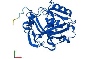 Protein Structure (PS) image for Isopentenyl-Diphosphate delta Isomerase 1 (IDI1) (AA 1-227) protein (His tag) (ABIN7556506)
