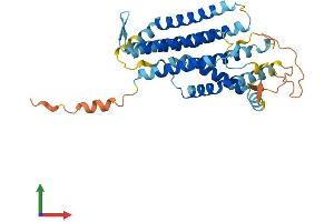 Protein Structure (PS) image for G Protein-Coupled Receptor 160 (GPR160) (AA 1-338) protein (His tag) (ABIN7548036)