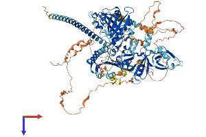 SIPA1 Protein (AA 1-1037) (His tag)