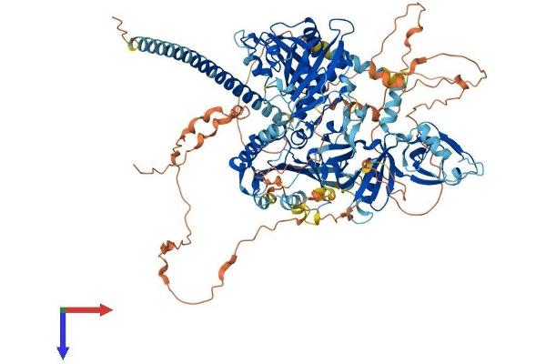 SIPA1 Protein (AA 1-1037) (His tag)