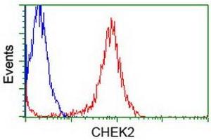 Flow Cytometry (FACS) image for anti-Checkpoint Kinase 2 (CHEK2) antibody (ABIN1497500) (CHEK2 Antikörper)